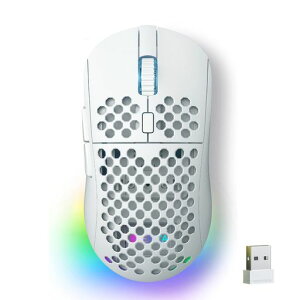 DIERYA Falcon M1 ���C�����X�Q�[�~���O�}�E�X ���� 24000DPI 180���ԋ쓮 ���y��90g 6�{�^���J�X�^�}�C�Y RGB 2.4G/BT5.2/USB-C �L�� �z���C�g