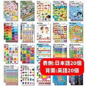 [�i�E�G�f��]�c���m��|�X�^�[40���(����:�Ђ炪�ȁEABC)�q���A�c�t���A�����A�z�[���X�N�[��[NOWEDU]40typesofearlychildhoodeducationposters(bothsides:Hiragana