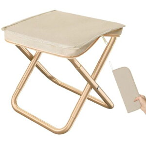 LIUSHUYANAEghA`FA܂肽݈֎qy1buԎ[RpNgLvCX܂ݎω׏d100kgނ^oRBBQ^ѕ֗2F(x[W)