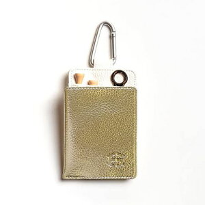 EG{[N[i[St{[N[i[u{[̉E]舫EXRA_Ev!(Gold)EDISONGOLF(GW\St)