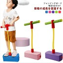 遊具 竹馬 知育玩具 親子 玩具 室内 外遊び ジャンピングボード 子供 家庭用 フィットネス 誕生日 遊具 おもちゃ キッ…