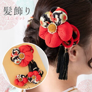 y߂񐶒n  3_ZbgzU     l  ^ wAANZT[ wAAWU  R[  wAANZT[   ߂ HKK