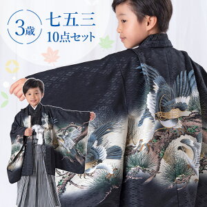 七五三 着物 3歳 羽織袴セット 男の子 10点フルセット 着付けマニュアル付き 黒地に松と鷹 絵羽柄 和柄 古典柄 正統派 黒/白 HAO3