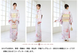 訪問着レンタル19点フルコーディネートセット「ピンク地に緑ぼかし菊と桜」往復送料無料