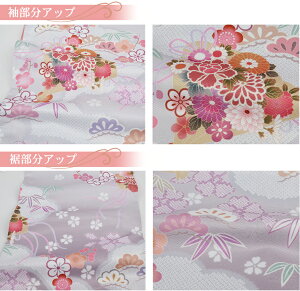 訪問着レンタル19点フルコーディネートセット「ピンク地に緑ぼかし菊と桜」往復送料無料