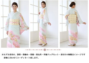 訪問着レンタル19点フルコーディネートセット「ピンク地に緑ぼかし菊と桜」往復送料無料