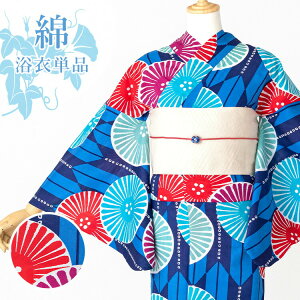 yPizp fB[X nɖRɉ Ȑn HYL