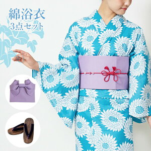 p fB[X 3_Zbg[++]ΒnɌ Ȑn HYL