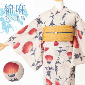 yPizp fB[X nɂ Ȗn HYL