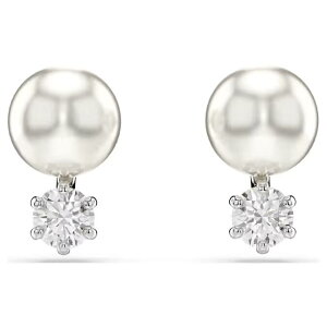 SWAROVSKI XtXL[ sAX Matrix }gbNX X^bhsAX NX^p[ NA Vo[ fB[X WG[