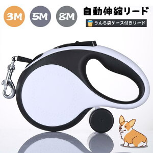 Lkybgp[h S~܃z_[t ^Ή Up[h Lp AEghA gѕ֗ h~^Cv 3M/5M/8M LYZGH-03