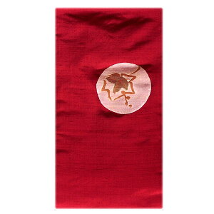 y󂠂zނn GWFn ە IV 㐡   É