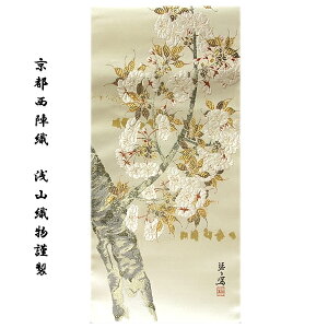 y󂠂z uswDFRDސv ^ { ە    ܑ