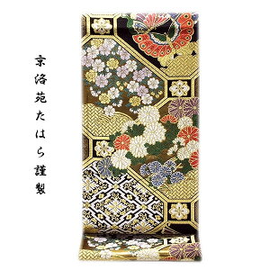 swDu͂ސ-iv n tH[}ɍœK ؈  ܑ