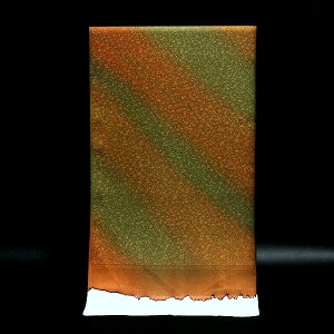 �u�����O�R�[�g �O�タ��߂�v �{�J�V���� ���� �H��