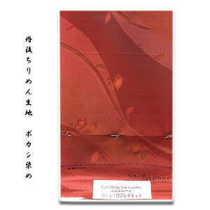 uOタ߂񐶒ngpv {JV OR[g  H HD aR[g