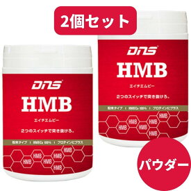 【2個】DNS HMB パウダー 90g サプリメント　ディーエヌエス