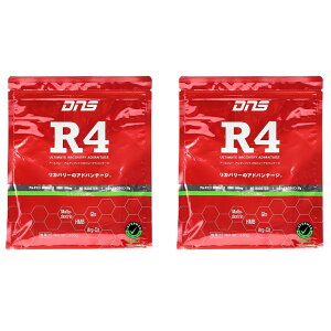 yyjғzDNS R4 AeBbg Jo[ Ahoe[W 630g C/  HMB O^~