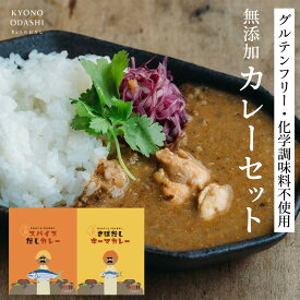 ＼ポイントさらに5倍／ 無添加カレー グルテンフリー［スパイスだしカレー180g さばだしキーマカレー150gカレーセット]スパイスカレー スパイス グルテンフリーカレー 無添加 化学調味料不使用 だしカレー カレー レトルト 京都 きょうのおだし 森野義