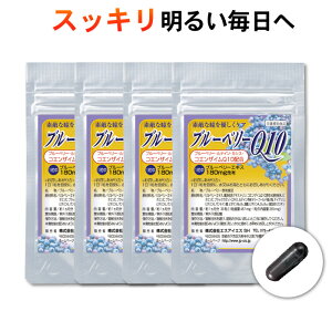 ڂ̃Tv u[x[ Tv RGUCQ10 Tvg u[x[Q10 1 30 Ղ h{⏕Hi NHi  ڂ̔   ڂ₯ RGUCq10 rx[ eC 