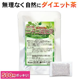 ダイエット お茶 ダイエット茶 健康茶 健康 茶 ブレンド むくみ 痩せる 二十二減肥茶 お試し 6包 無添加 バナバ ギムネマ 食べ過ぎ 運動不足 お通じ どっさり デトックスダイエット