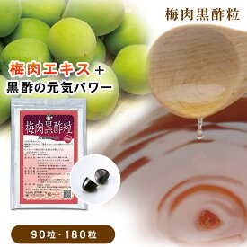 梅肉エキス 黒酢 サプリメント サプリ さぷり 粒 梅肉黒酢粒 健康食品 栄養補助食品 疲れ だるい めぐり 夏 対策 夏バテ ギフト キフト プレゼント