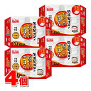 アイリスフーズ 低温製法米のおいしいごはん 国産米100％ 120g×10個　×4個