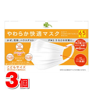 炵Y 炩K}XN ǂTCY 65@×3