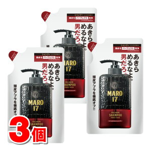 lC`[{ MARO17 }[17 R[QVv[ p[tFNgEHbV l 300mL@×3