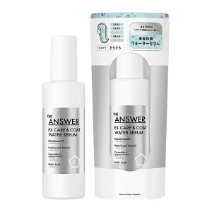 ԉ THE ANSWER EX PAR[g EH[^[Z 190mL  