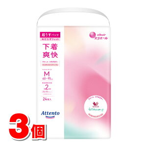 剤 GG[ Aeg pc u GKgsNx[W MTCY 24@×3 