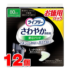 jE`[ Ct[ ₩pbh jp ʗp 80cc 26@×12 