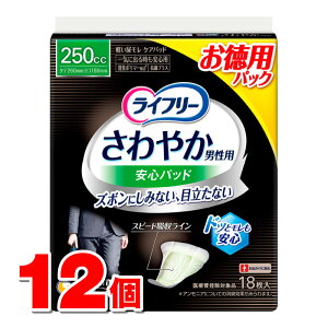 jE`[ Ct[ ₩pbh jp Cɏo鎞Sp 250cc 18@×12 