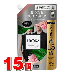 ԉ IROKA nT[t XpEg 650mL@×15