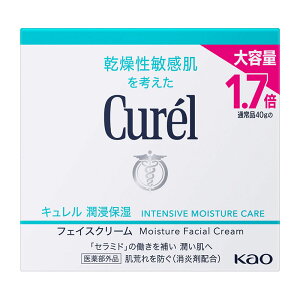 キュレル 潤浸保湿フェイスクリーム 花王 70g」の人気商品一覧 | 安い 