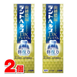 y򕔊Oiz CI fgwX pn~KLDX v~A 90g@×2 