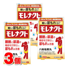 【第2類医薬品】 小林製薬 モレナクト 120錠　×3個 ★