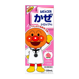 【第2類医薬品】 池田模範堂 ムヒのこどもかぜシロップP2 120mL 【セルフメディケーション税制対象商品】 ★