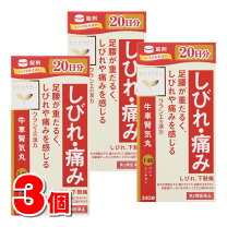 楽天市場】ジェネリック製薬 カンシャの通販
