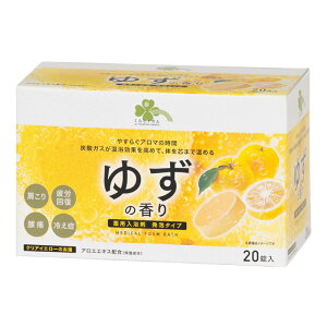 炵Y p A^Cv 䂸̍ 20 