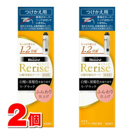 花王 ブローネ リライズ 白髪用髪色サーバー リ・ブラック ふんわり仕上げ 付替 190g　×2個