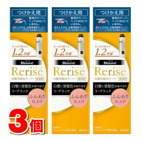 花王 ブローネ リライズ 白髪用髪色サーバー リ・ブラック ふんわり仕上げ 付替 190g　×3個