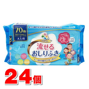 大一紙工 大人用 流せるおしりふき 70枚 ×24個 ●