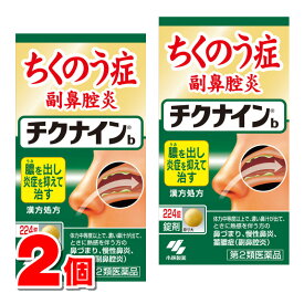 【第2類医薬品】 小林製薬 チクナイン 224錠　×2個 ○