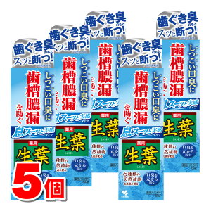 y򕔊Oiz ѐ t X[bƎ^Cv 100g@×5 