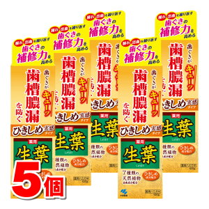 【医薬部外品】 小林製薬 生葉 ひきしめ実感タイプ 100g ×5個 ★