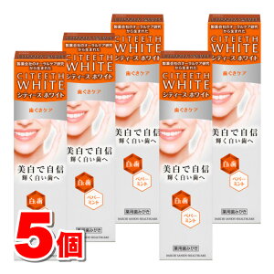 y򕔊Oiz OwXPA VeB[X zCg PA 110g@×5 