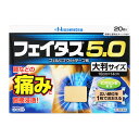 【第2類医薬品】 久光製薬 フェイタス5.0 大判 20枚【セルフメディケーション税制対象】 ★