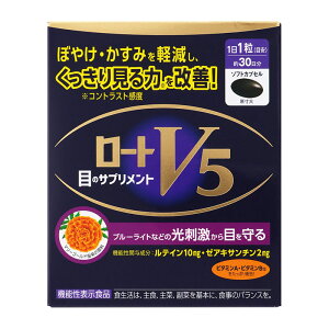 ���[�g���� ���[�gV5a 30�� ��