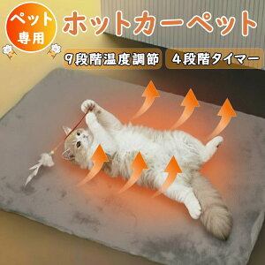 Nۏ؁9iKx߁12ԃ^C}[ ybgq[^[ ybgpzbgJ[ybg q[^[ L q[^[  ^ybg ΍ \ h ݕth~ Sg[ H~p2h/4h/